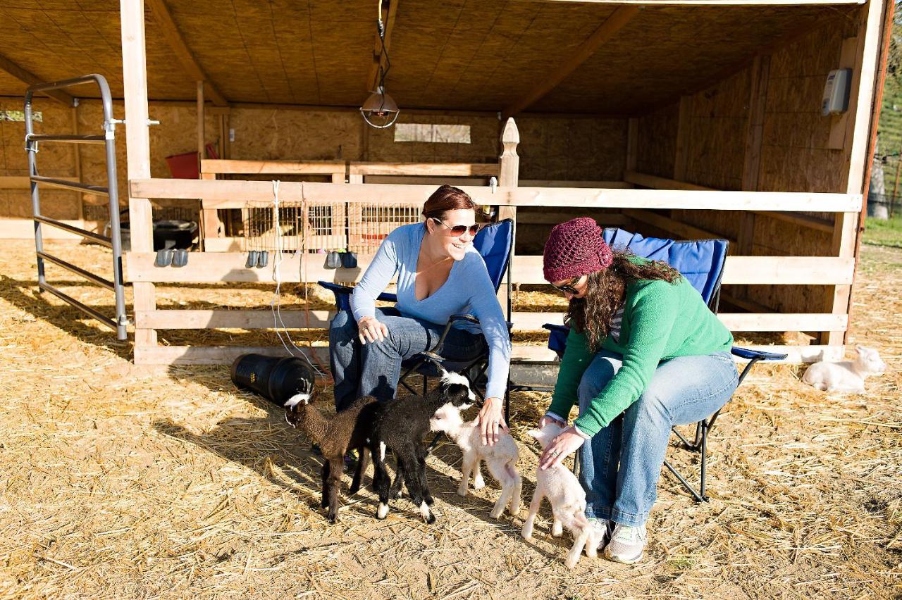 Reves De Moutons Ξενοδοχείο Paso Robles Εξωτερικό φωτογραφία