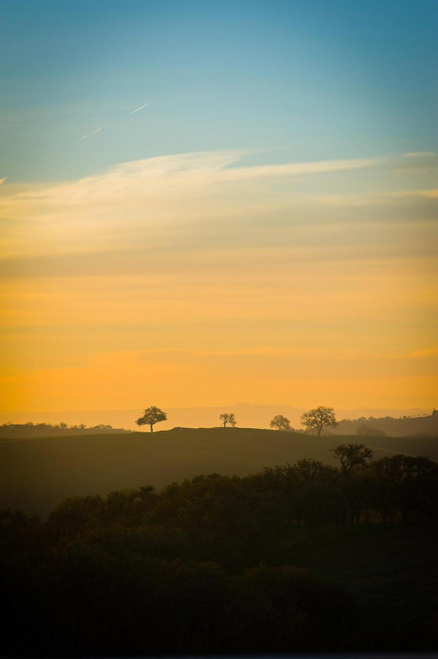 Reves De Moutons Ξενοδοχείο Paso Robles Εξωτερικό φωτογραφία