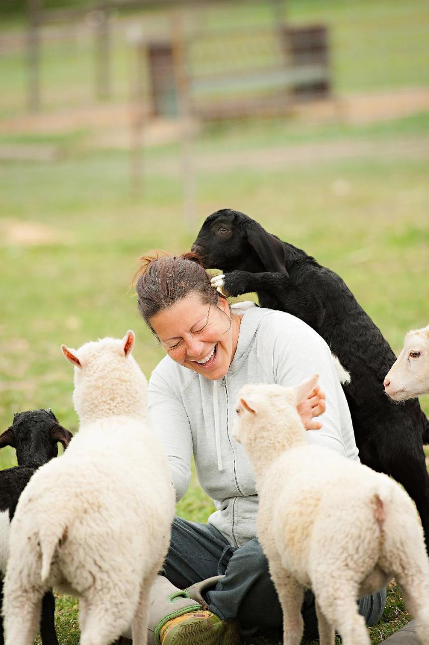 Reves De Moutons Ξενοδοχείο Paso Robles Εξωτερικό φωτογραφία