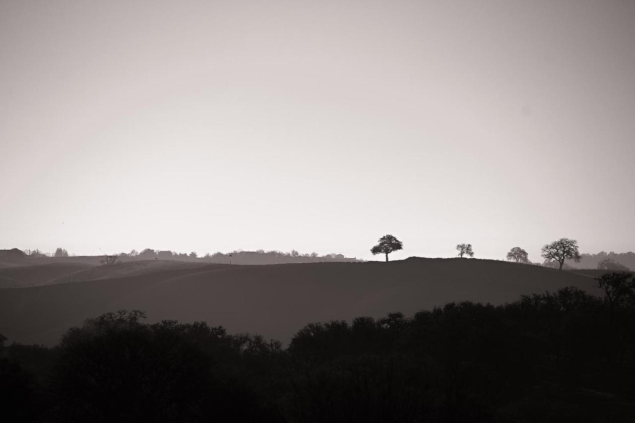 Reves De Moutons Ξενοδοχείο Paso Robles Εξωτερικό φωτογραφία